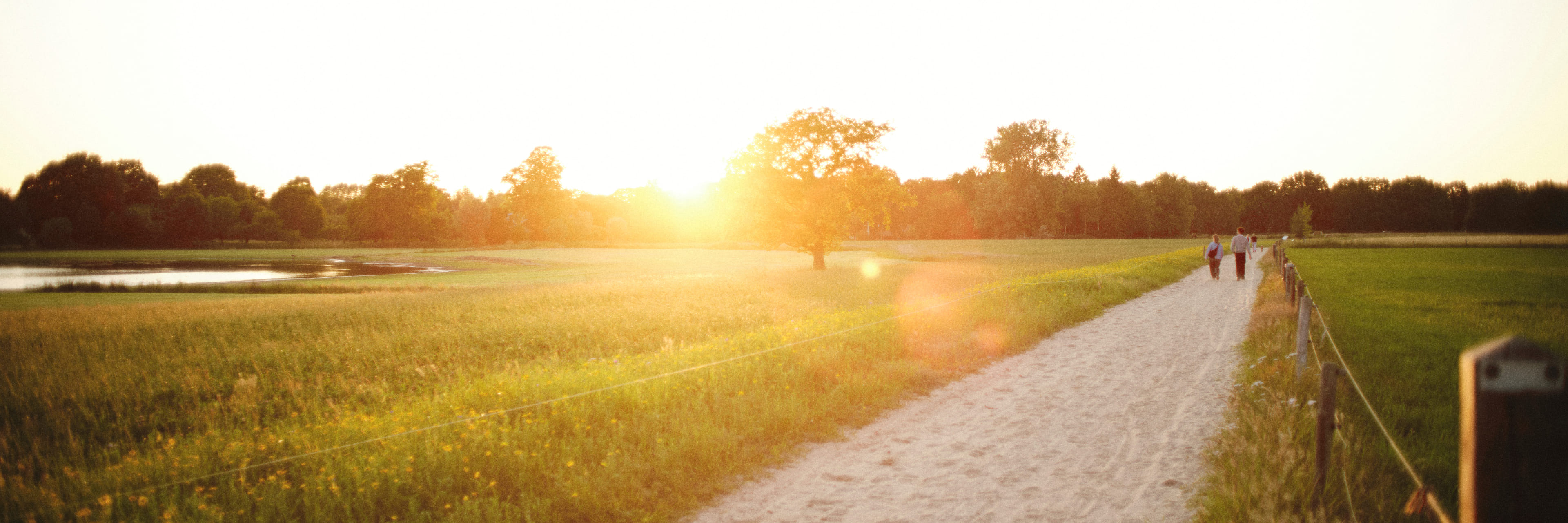 Generieke afbeelding van de achtergrond afbeelding